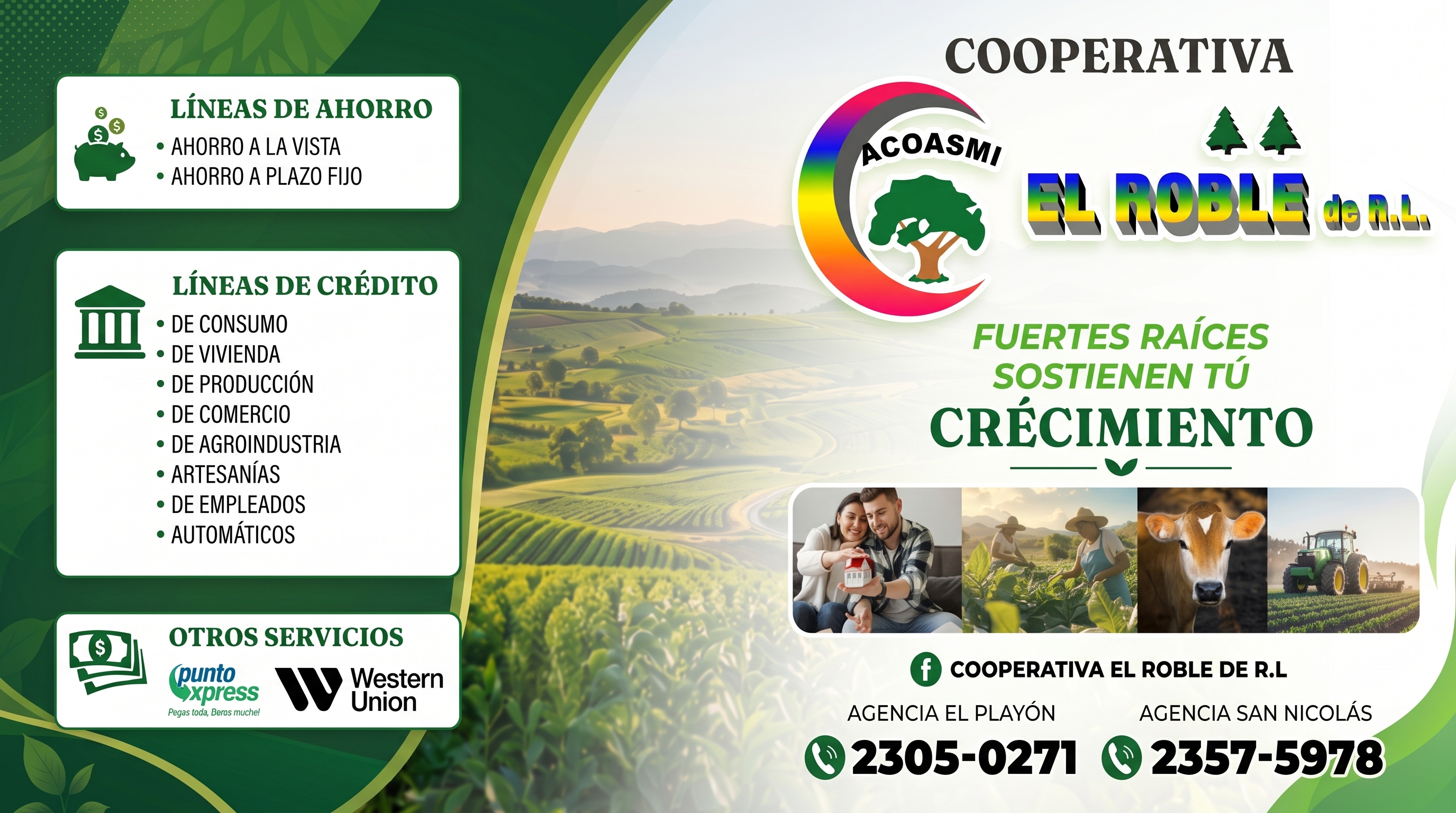 Rótulo Agencia ACOASMI